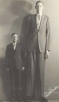 TOP 10 Giants That Actually Existed: #4 Will Defy Everything You Knew.